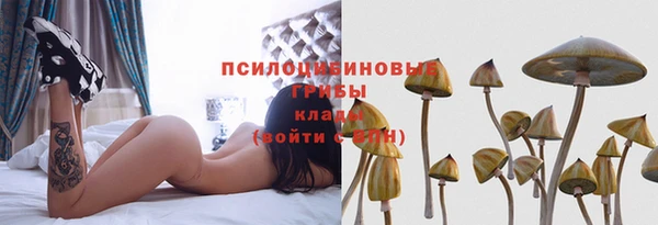 тгк Елизово