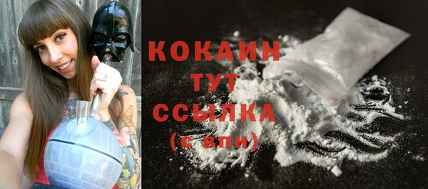 тгк Елизово