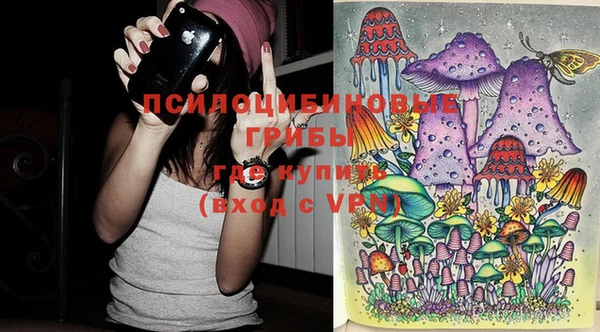 тгк Елизово